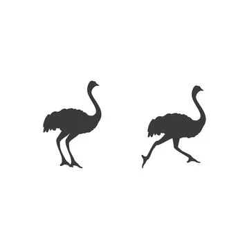 Ostrich illustration 스톡 일러스트
