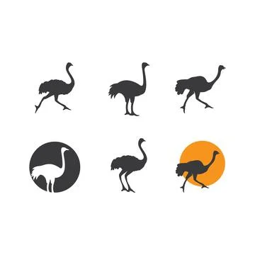 Ostrich illustration Stock Illustration