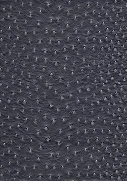Ostrich leather surface full frame abstract black ostrich leather surface ... 스톡 사진