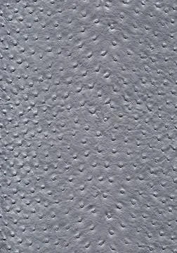 Ostrich leather surface full frame abstract metallic ostrich leather surfa... 스톡 사진