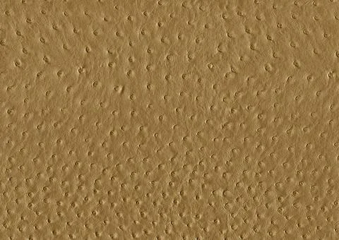 Ostrich leather surface full frame abstract brown ostrich leather surface ... Stock Photos