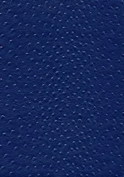 Ostrich leather surface full frame abstract dark blue ostrich leather surf... Stock Photos