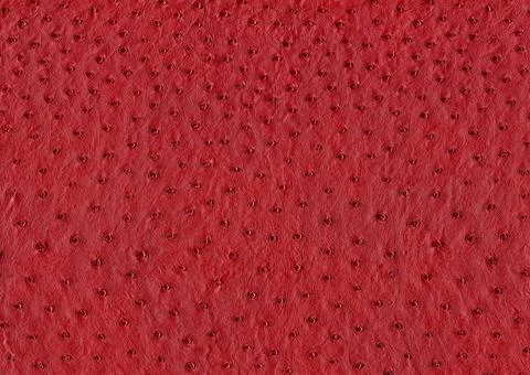 Ostrich leather surface full frame abstract red ostrich leather surface Co... Foto stock