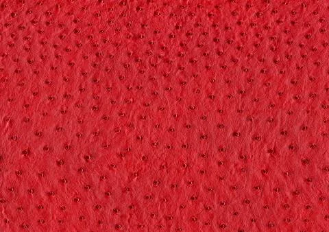 Ostrich leather surface Foto stock
