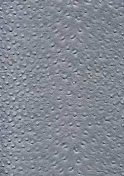 Ostrich leather surface Stock Photos