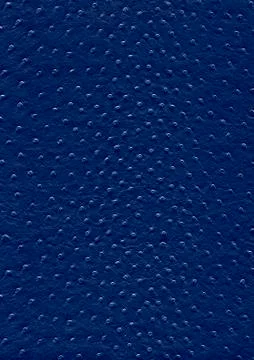Ostrich leather surface Stock Photos
