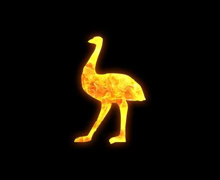 Ostrich outline with a bright fire pattern isolated on a black background Stock Illustration