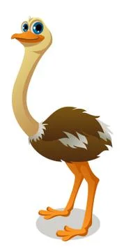 An ostrich posing with smile Stock Illustration