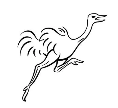 Ostrich running vector Stock Illustration
