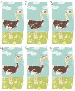 Ostrich Visual Game Stock Illustration