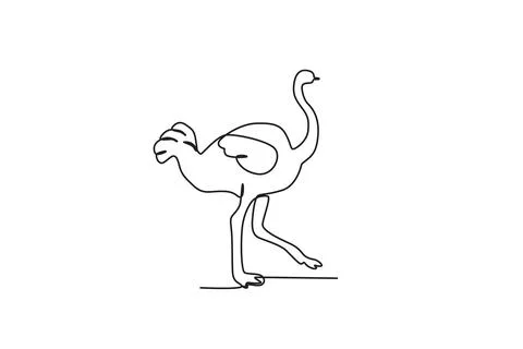 An ostrich walking Stock Illustration