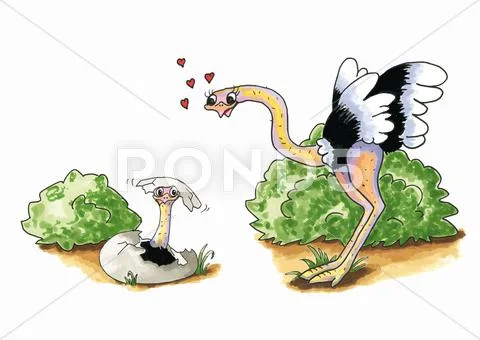 Ostrich with young Stock Illustration