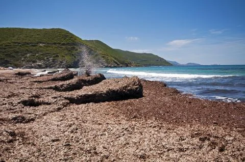 Ostriconi beach Stock Photos