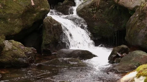 O'Sullivans Cascades Video stock 197066076