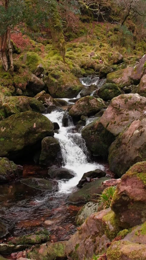 O'Sullivans Cascades Video stock 197066085