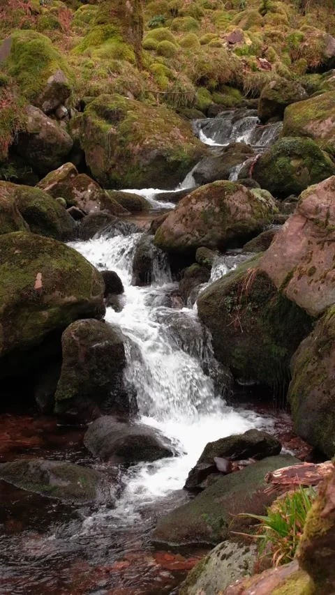 O'Sullivans Cascades Video stock 197066086