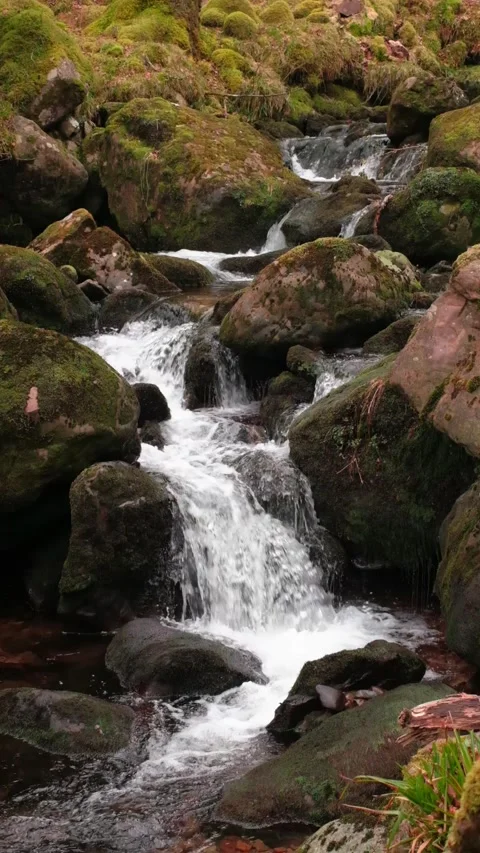 O'Sullivans Cascades Video stock 197066096