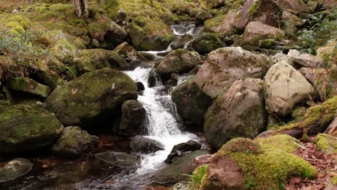 O'Sullivans Cascades Stock-Footage 197066103