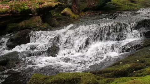 O'Sullivans Cascades Stock-Footage 197066113