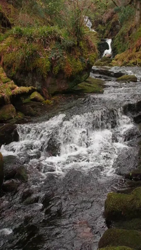 O'Sullivans Cascades Stock-Footage 197066115