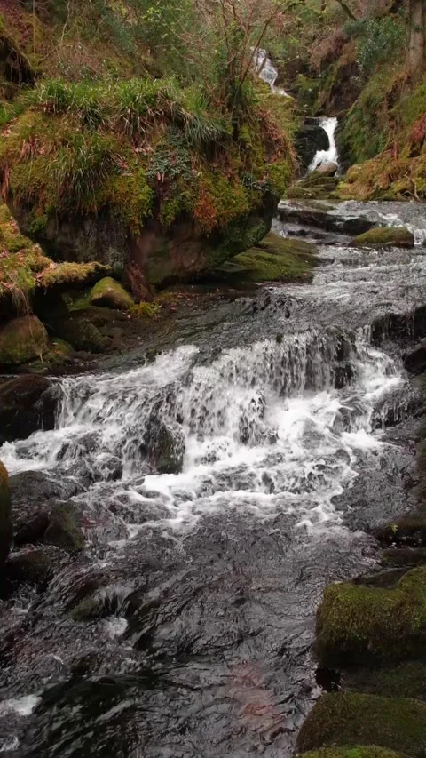 O'Sullivans Cascades Video stock 197066124