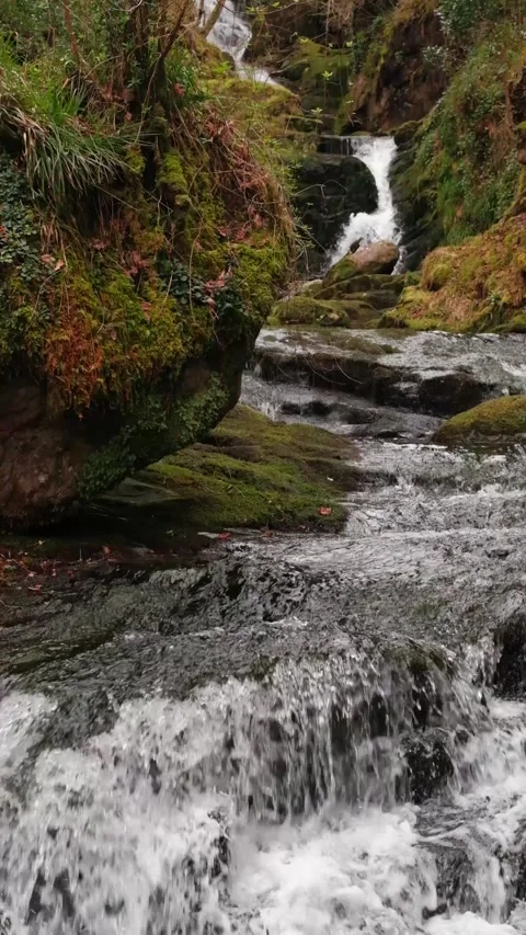 O'Sullivans Cascades Video stock 197066126