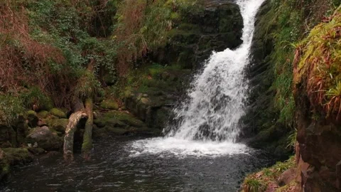 O'Sullivans Cascades Video stock 197066139