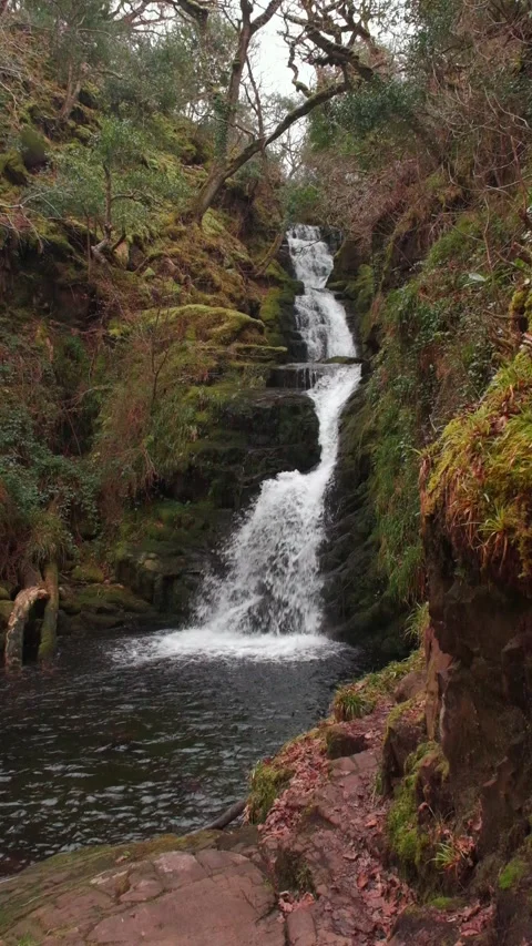 O'Sullivans Cascades Stock-Footage 197066144