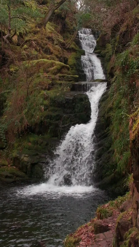 O'Sullivans Cascades Stock-Footage 197066155