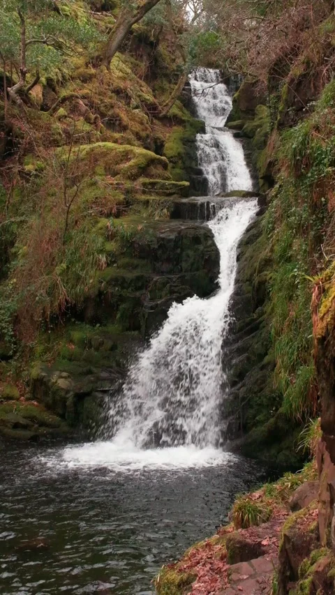 O'Sullivans Cascades Video stock 197066162