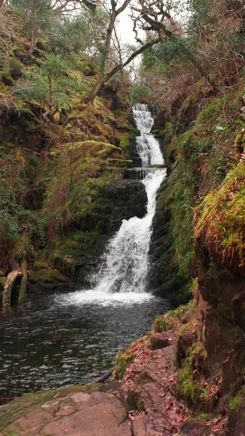 O'Sullivans Cascades Video stock 197066174