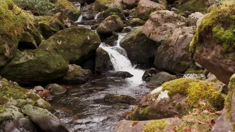 O'Sullivans Cascades Video stock 197067073