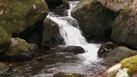 O'Sullivans Cascades Video stock 197067078