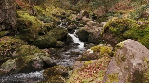 O'Sullivans Cascades Video stock 197067182