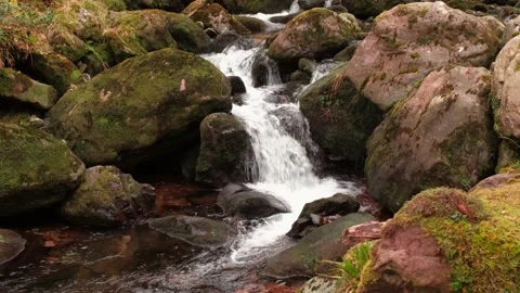 O'Sullivans Cascades Stock-Footage 197067273