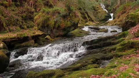 O'Sullivans Cascades Video stock 197067317