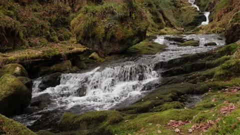 O'Sullivans Cascades Stock-Footage 197067390