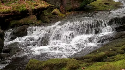 O'Sullivans Cascades Video stock 197067425