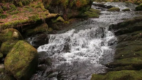 O'Sullivans Cascades Stock-Footage 197067507