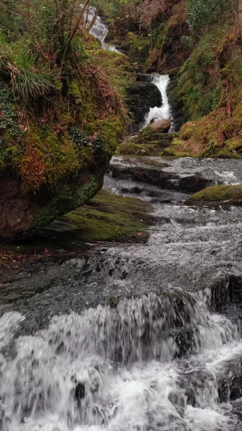 O'Sullivans Cascades Video stock 197067512