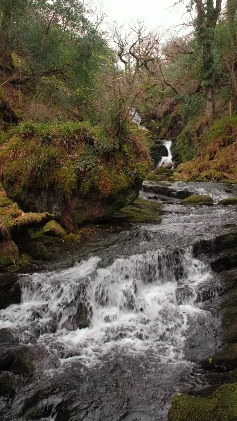 O'Sullivans Cascades Stock-Footage 197067568