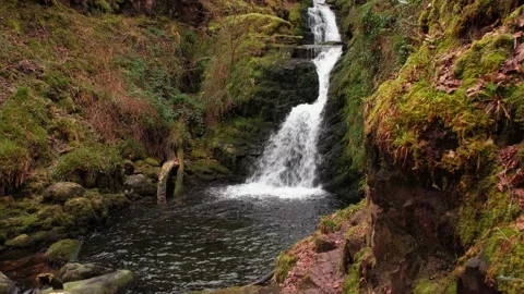 O'Sullivans Cascades Stock-Footage 197067585