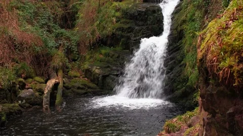 O'Sullivans Cascades Stock-Footage 197067657