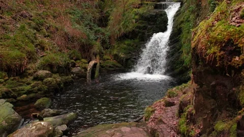 O'Sullivans Cascades Video stock 197067676