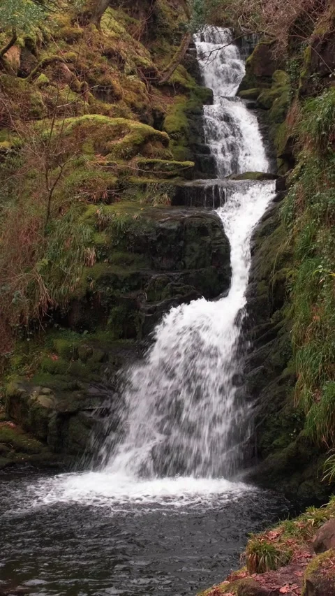 O'Sullivans Cascades Video stock 197067717