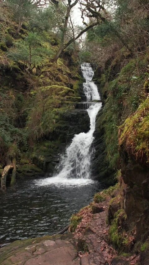 O'Sullivans Cascades Video stock 197067754