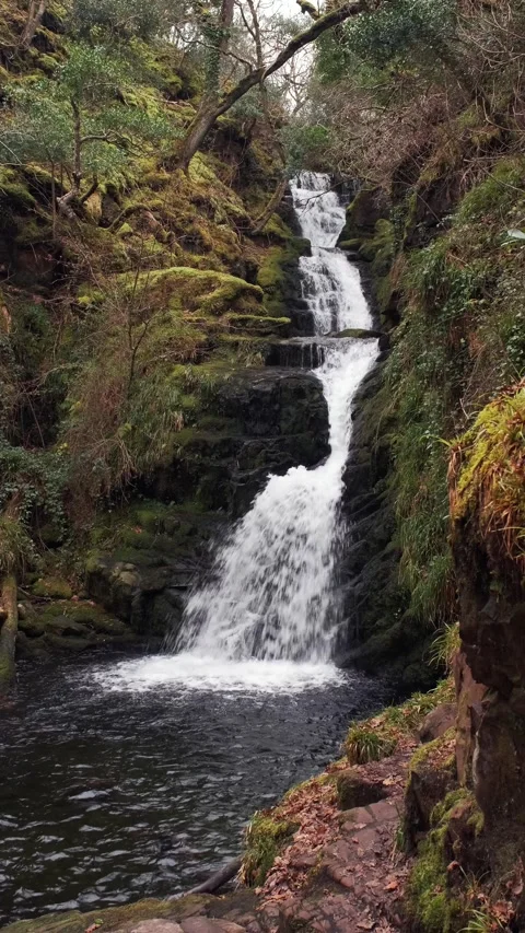 O'Sullivans Cascades Stock-Footage 197067791