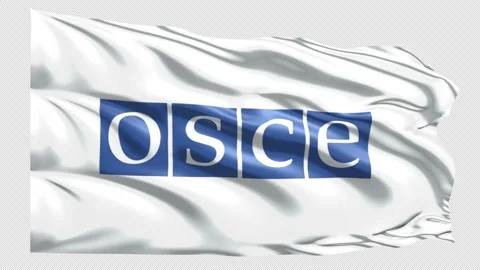 OSZE (Germany) flag loop with alpha matte Stock Footage 223225336