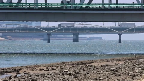 The Ota River in Hiroshima amidst Japan's continuous scorching hot days. 库存影片 340396185