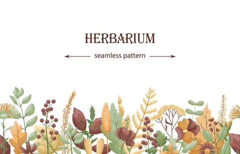 Otanical template with horizontal seamless pattern of dried flowers and leave Illustrazione stock